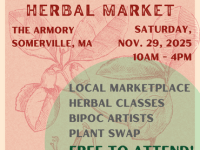 Visit Us at Wintergreen Herbal Market&nbsp;11/29